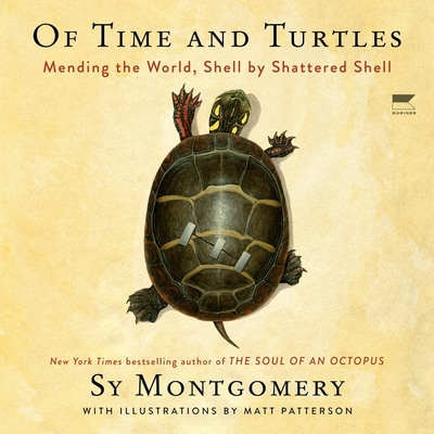 Of Time and Turtles: Mending the World, Shell by Shattered Shell Cover Image