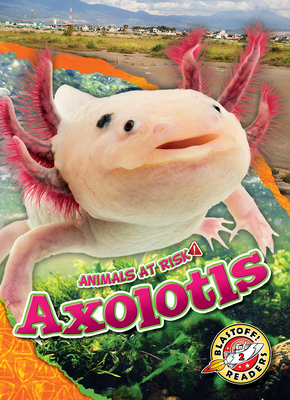 Axolotls (Animals at Risk) Cover Image