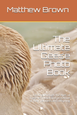 The Ultimate Geese Photo Book: Looking through the eyes of these very loyal and protective of their partners and offspring By Matthew Brown Cover Image