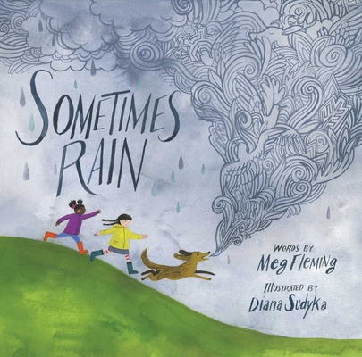 Sometimes Rain By Meg Fleming, Diana Sudyka (Illustrator) Cover Image