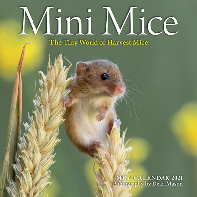 Mini Mice Mini Wall Calendar 2021: The Tiny World of Harvest Mice By Workman Publishing, Dean Mason, Workman Calendars (With) Cover Image