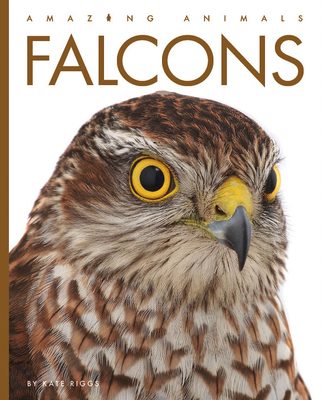 Falcons (Amazing Animals) By Kate Riggs Cover Image