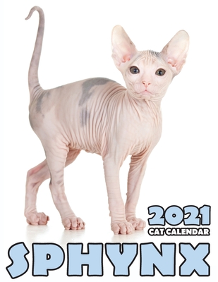 Sphynx 2021 Cat Calendar Cover Image