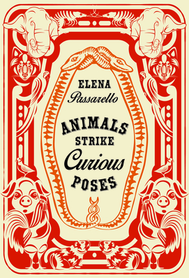 Animals Strike Curious Poses