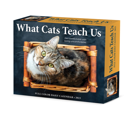 What Cats Teach Us 2023 Box Calendar By Willow Creek Press Cover Image