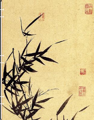 Bamboo By Publishers Group West (Manufactured by) Cover Image