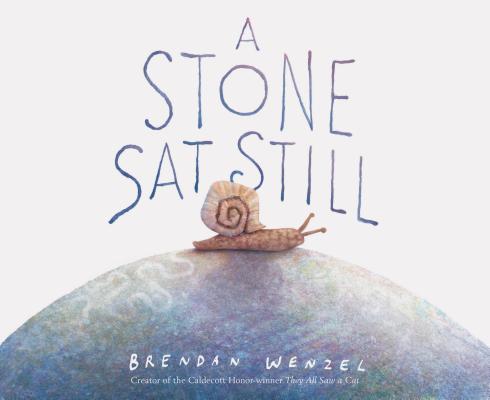 A Stone Sat Still (Brendan Wenzel)