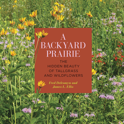 A Backyard Prairie: The Hidden Beauty of Tallgrass and Wildflowers By Fred Delcomyn, James L. Ellis Cover Image