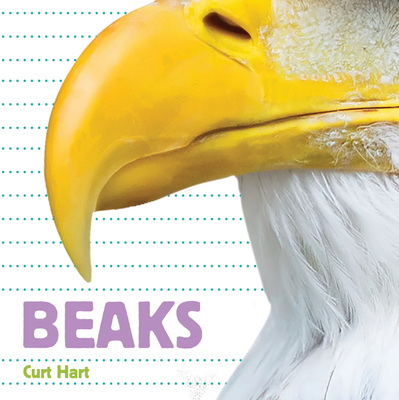 Whose Is It? Beaks Cover Image
