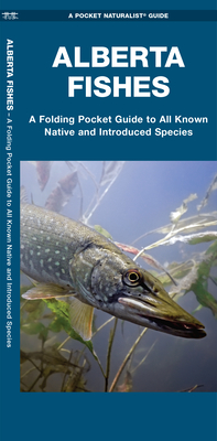 Alberta Fishes: A Folding Pocket Guide to All Known Native and Introduced Species By Matthew Morris, Raymond Leung (Illustrator), Sean M. Rogers Cover Image
