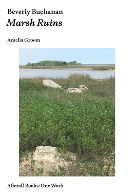 Beverly Buchanan: Marsh Ruins (Afterall Books / One Work)
