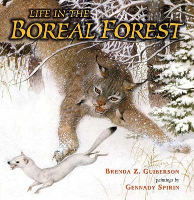 Cover Image for Life in the Boreal Forest