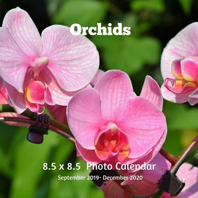 Orchids 8.5 X 8.5 Calendar September 2019 -December 2020: Monthly Calendar with U.S./UK/ Canadian/Christian/Jewish/Muslim Holidays-Flowers Nature Gard Cover Image