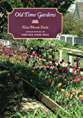 Old Time Gardens By Alice Morse Earle, Virginia Lopez Begg (Introduction by) Cover Image