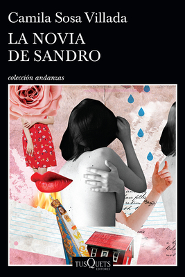 La Novia de Sandro By Camila Sosa Villada Cover Image