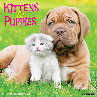 Kittens & Puppies 2024 12 X 12 Wall Calendar Cover Image