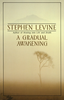 A Gradual Awakening Cover Image