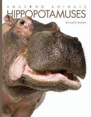 Hippopotamuses (Amazing Animals) Cover Image