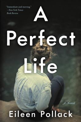 Cover for A Perfect Life: A Novel