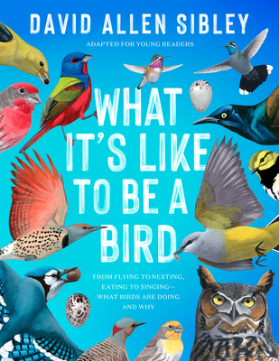 What It's Like to Be a Bird (Adapted for Young Readers): From Flying to Nesting, Eating to Singing--What Birds Are Doing and Why By David Allen Sibley Cover Image