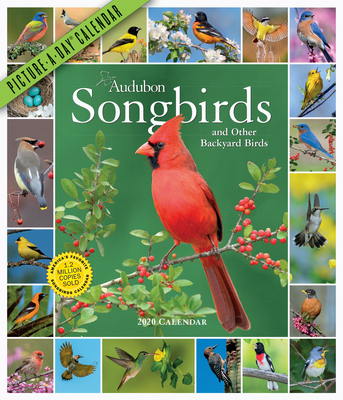 Audubon Songbirds and Other Backyard Birds Picture-A-Day Wall Calendar 2020