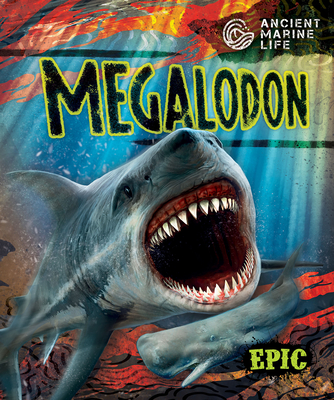 Megalodon By Kate Moening, Mat Edwards (Illustrator) Cover Image