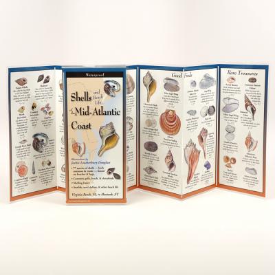 Shells of the Mid-Atlantic Coast By Jackie Douglass Cover Image