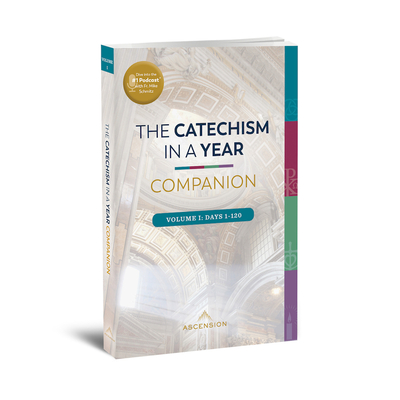 Catechism in a Year Companion: Volume I By Fr Mike Schmitz, Petroc Willey (With), Ann Koscute (Screenplay by) Cover Image