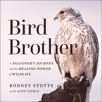 Bird Brother: A Falconer's Journey and the Healing Power of Wildlife By Rodney Stotts, Kate Pipkin (Contribution by), James Fouhey (Read by) Cover Image