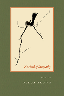 No Novel of Sympathy by Fleda Brown