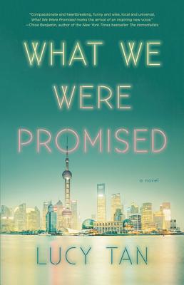 Cover for What We Were Promised