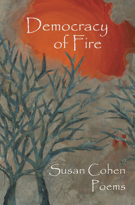 Democracy of Fire By Susan Cohen Cover Image