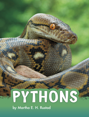 Pythons (Animals) Cover Image