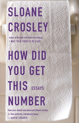 How Did You Get This Number By Sloane Crosley Cover Image