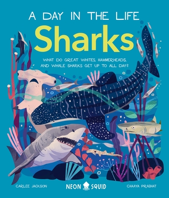 Sharks (A Day in the Life): What Do Great Whites, Hammerheads, and Whale Sharks Get Up To All Day? By Carlee Jackson, Chaaya Prabhat (Illustrator), Neon Squid Cover Image