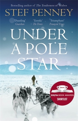 Cover for Under a Pole Star