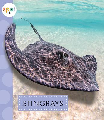 Stingrays (Spot Ocean Animals) Cover Image