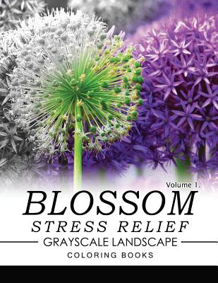 Blossom Stress Relief GRAYSCALE Landscape Coloring Books Volume 1 By Keith D. Simons Cover Image