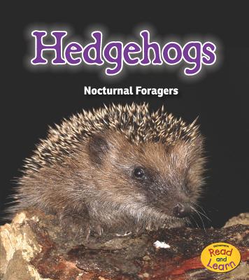 Hedgehogs: Nocturnal Foragers (Night Safari) Cover Image