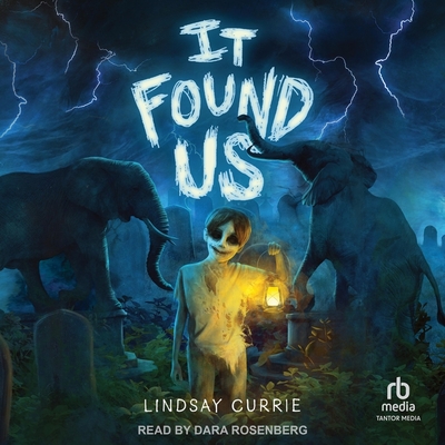 It Found Us Cover Image