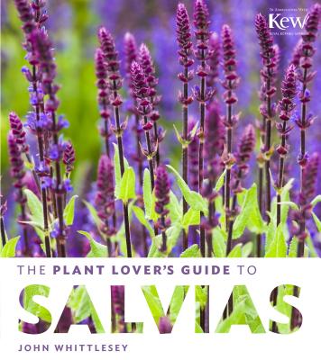 The Plant Lover's Guide to Salvias (The Plant Lover’s Guides) Cover Image