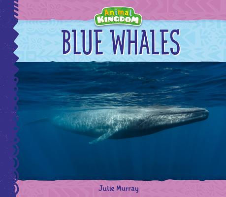 Blue Whales (Animal Kingdom)
