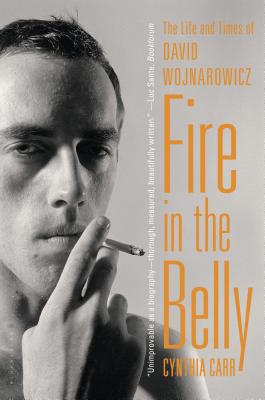 Fire in the Belly: The Life and Times of David Wojnarowicz By Cynthia Carr Cover Image