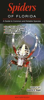 Spiders of Florida Cover Image