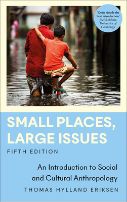 Small Places, Large Issues: An Introduction to Social and Cultural
