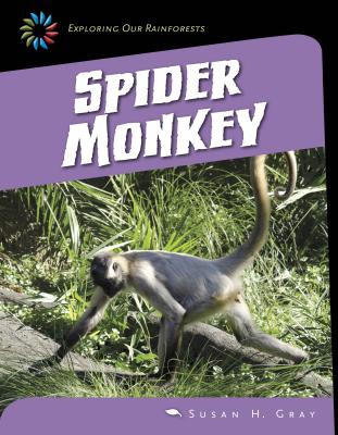 Spider Monkey (21st Century Skills Library: Exploring Our Rainforests) Cover Image