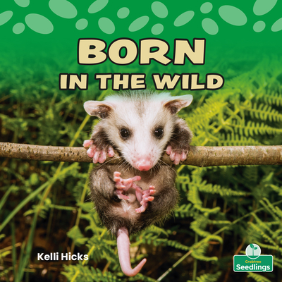 Born in the Wild By Kelli Hicks Cover Image