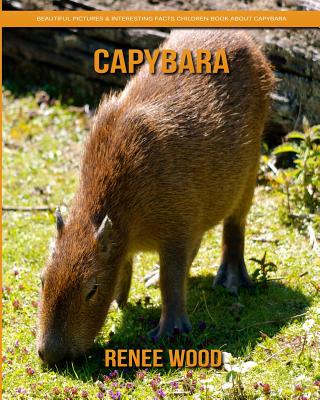 Children Book About Capybara Paperback