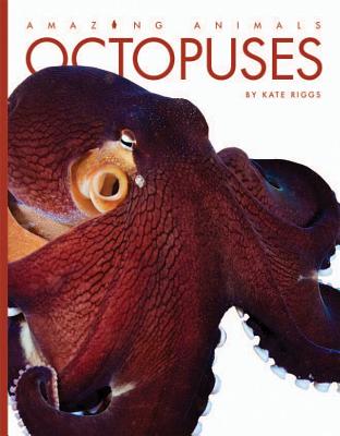 Octopuses (Amazing Animals) Cover Image