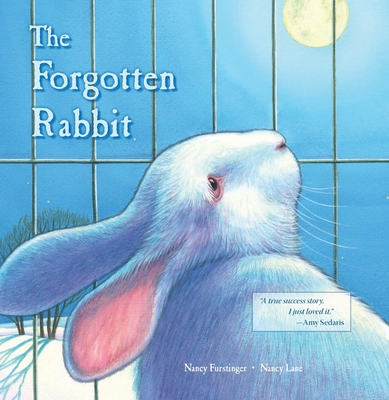 The Forgotten Rabbit Cover Image